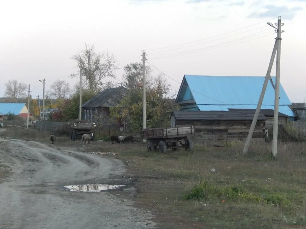 П майна ульяновской области. Родниковые пруды Майнский район. Новочуфаровский Майнский район. Родниковые пруды Ульяновская область. Рабочий поселок майна Ульяновская область.