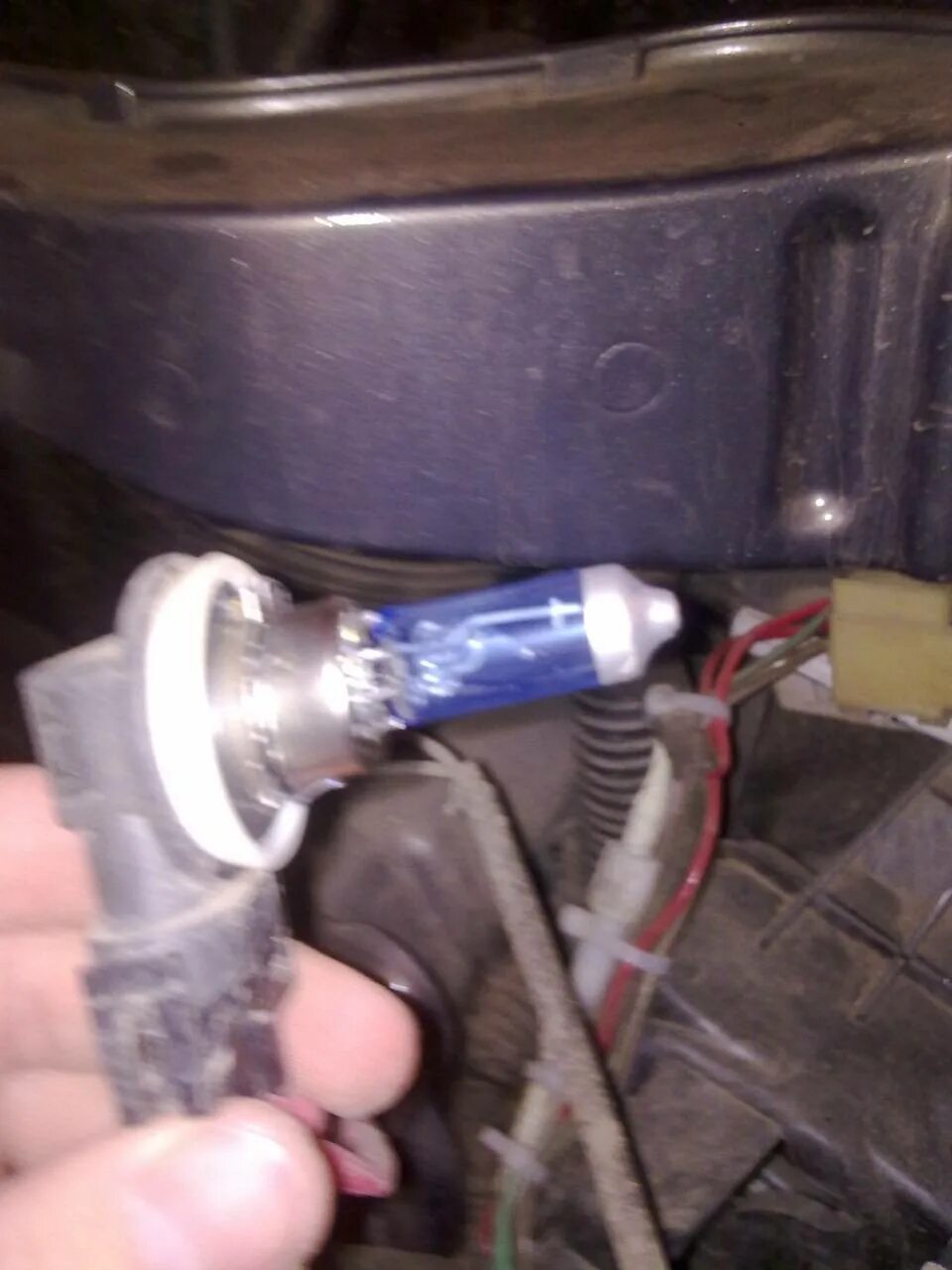 Лампа фары форд фокус 3 ближний свет. Лампочки поворотников форд фокус 3. Лампа ближнего света форд фокус 3. Крепление лампы ближнего света форд фокус 3. Лампочка заднего хода форд фокус 3.