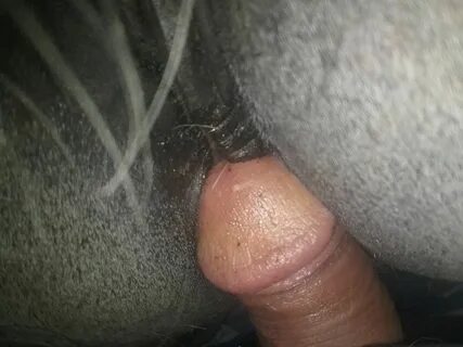 Mare Pussy Fucked.