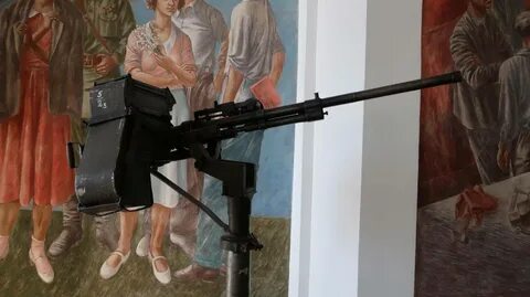 Plane gun
