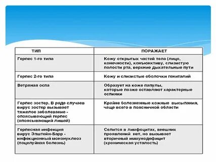Виды герпеса
