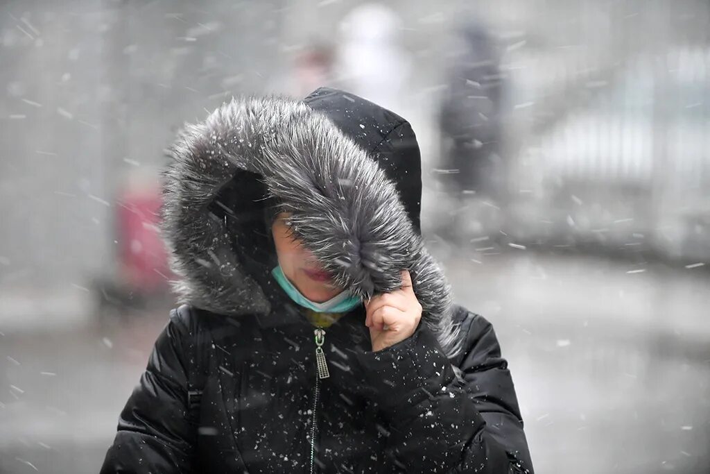 Снег с дождем. Сильный снегопад. Мокрый снег. Сильный ветер снегопад.