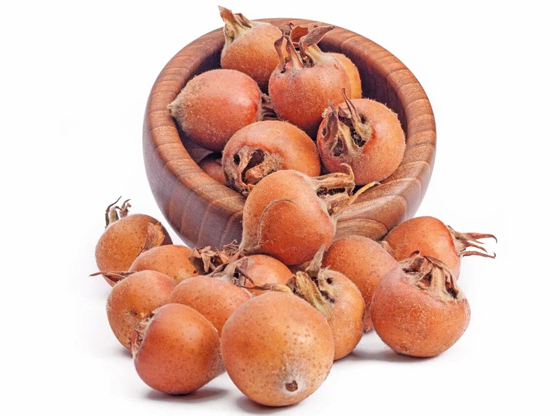 шишки мушмула кавказская. зкер армянский фрукт. мушмула азгиль. хьамцаш. зенкер фрукт армянский.