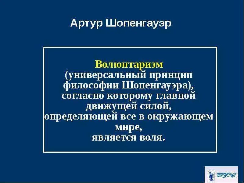 Волюнтаризм это простыми словами в кавказской. Волюнтаризм это в философии. Волюнтаризм что это простыми словами. Концепции философии волюнтаризм. Шопенгауэр волюнтаризм.