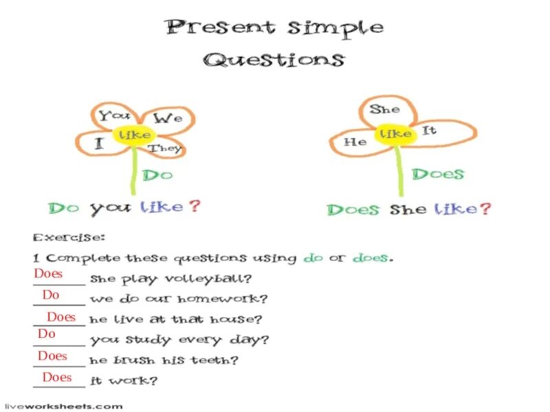 Английский язык do does правило 3 класс. Present simple do does. Схема do does. Do present simple. Do или does present simple.