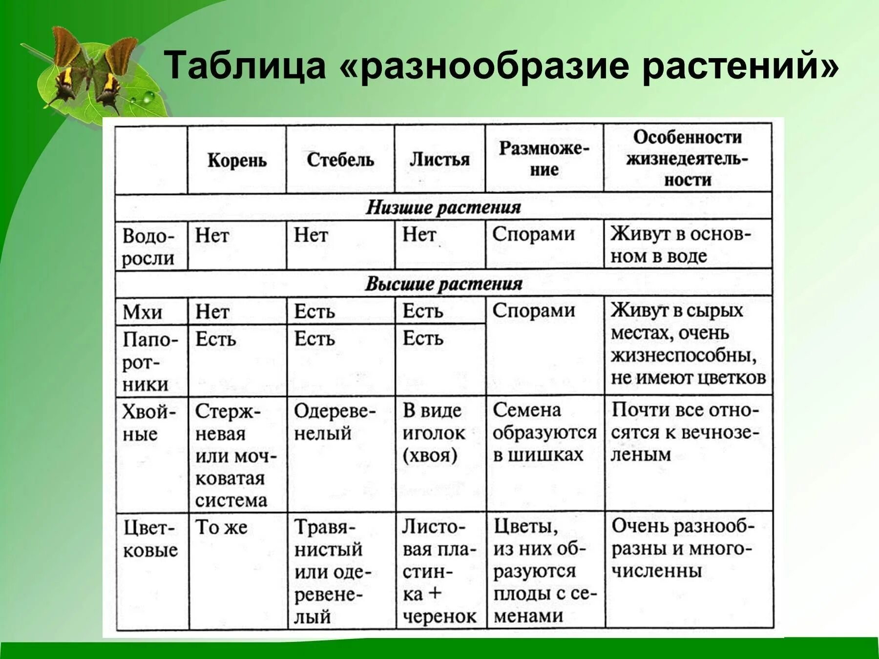 Таблица основные виды растений. Таблица по окружающему миру 3 класс разнообразие растений. Таблица по окружающему миру 3 класс растения. Таблица разнообразие растений 3 класс окружающий мир. Таблица группы растений 5 класс.