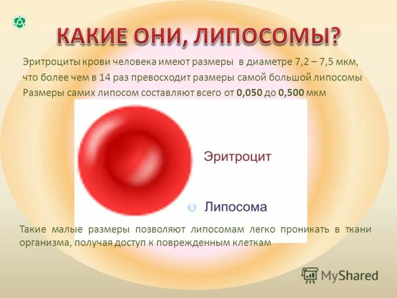 Эритроциты в крови у мужчин после 50. Эритроциты человека имеют. Количество клеток крови у человека. Диаметр клетки мкм эритроцитов человека. Эритроциты диаметр 7.5 мм.