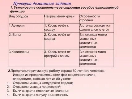 Система 2 продолжительность