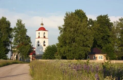 Новая жизнь владимирская область