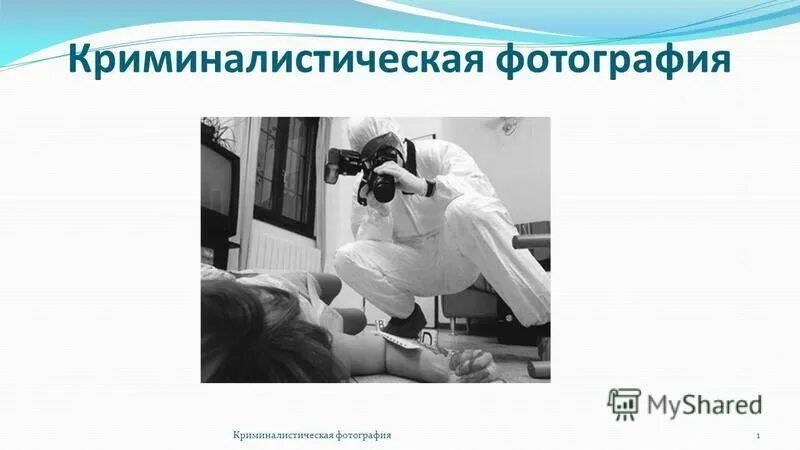 запечатлевающая судебная фотография. методы криминалистической фотосъемки. фотоаппарат криминалиста. криминалисты на месте преступления. снимки с места преступления.
