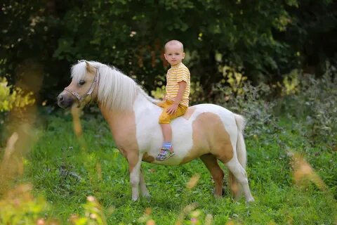 Mini pony