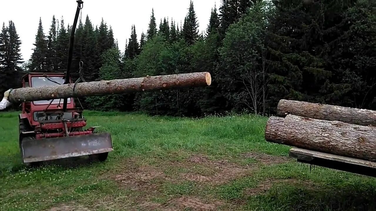 Гужевая трелевка древесины. Приспособление для погрузки бревен. Приспособления для трелевки бревен. Погрузка бревен.