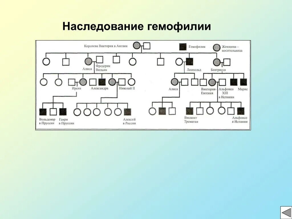 Гемофилия у человека наследуется