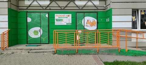 Коте детский сад