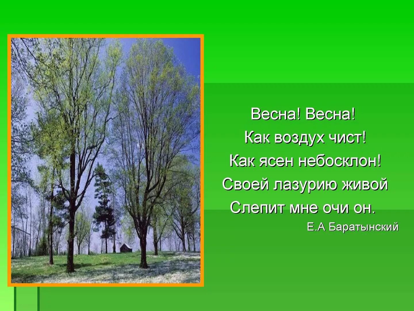 Рассказ о весне. Весенний лес описание. Описать весну.