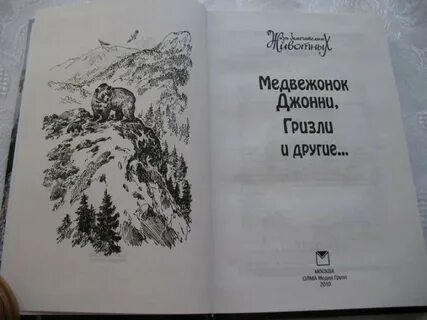 Медвежонок джонни