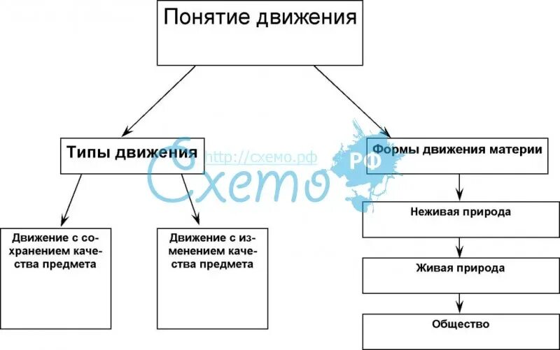 Назовите формы движения. Движение в философии. Концепции движения в философии. Формы и типы движения в философии. Понятие движения в философии.