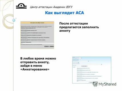 Академия вэгу сайт