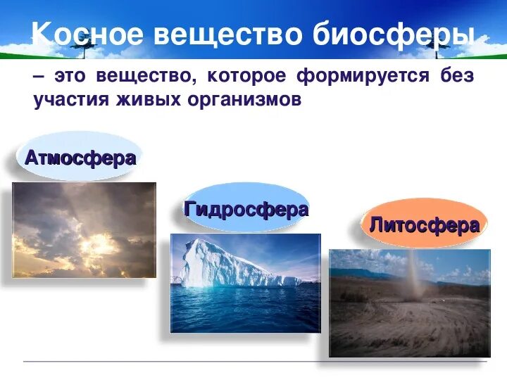 Консое вещесвто биосферы. Косное вещество. Косное вещество биосферы. Живое и костное вещество. Тест вещества биосферы