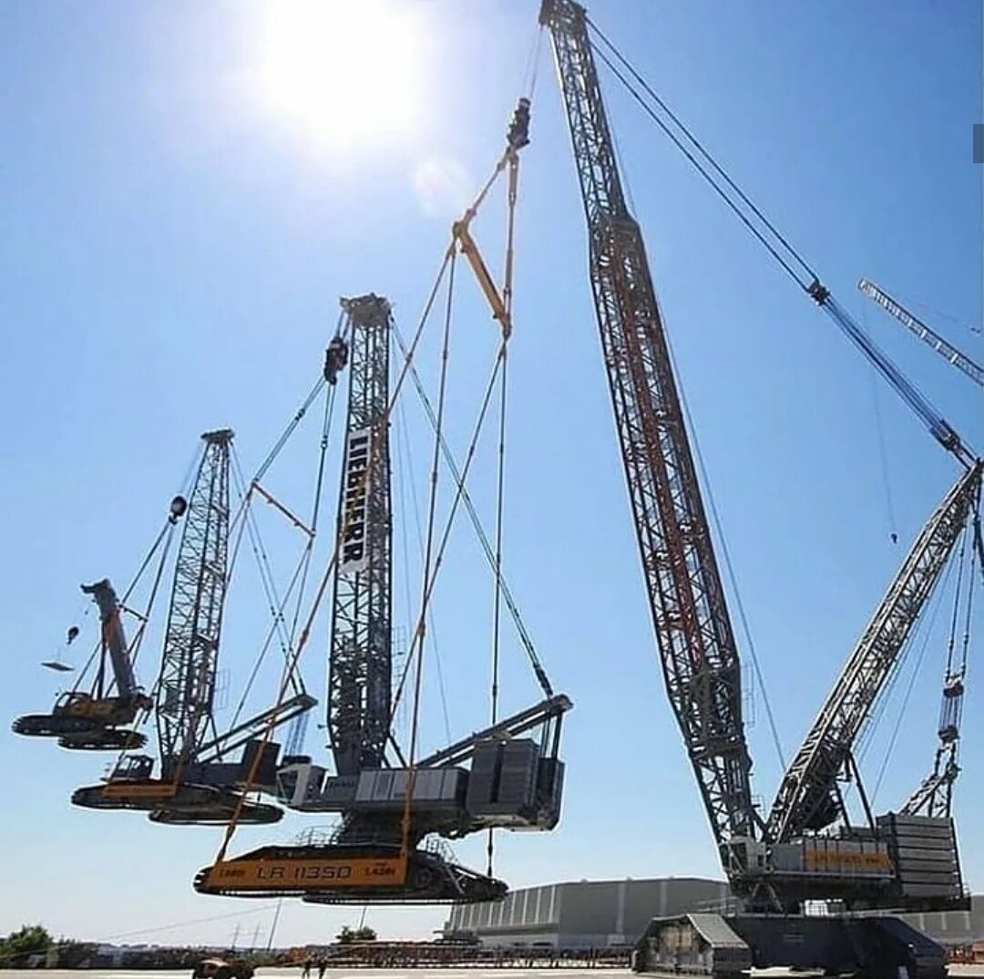 Громадный кран. Liebherr LR 13000. Кран Liebherr LR 13000. LR 11350 Либхер. Либхер кран 1000.