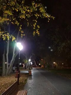 Вечерний липецк