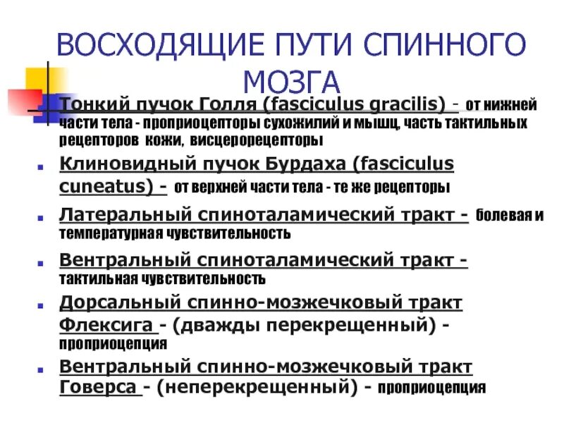 Проходящие пути спинного мозга. Восходящие пути спинного мозга. Проводящие пути спинного мозга таблица. Проводящие пути спинного мозга восходящие и нисходящие. Основные проводящие пути спинного мозга.