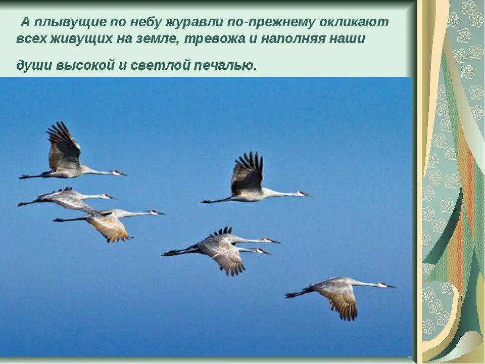 Журавль в небе. Журавли презентация для детей. Стишок про журавлей. Праздник белых журавлей.