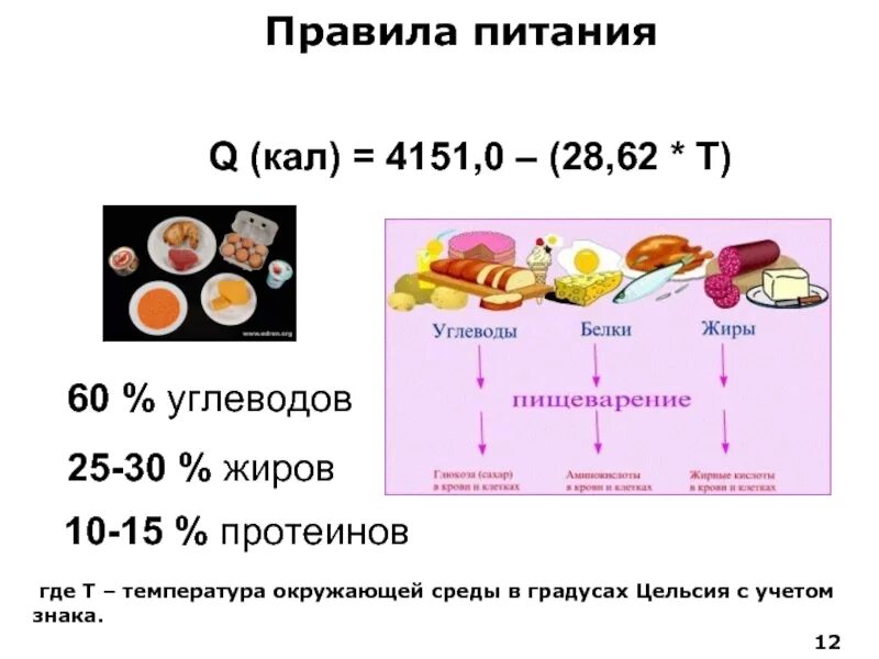 Жиры 0 5 г. 12 30 58 Белки жиры углеводы. Белок жиры и углеводы. Питание белки жиры углеводы. 60 Углеводов.