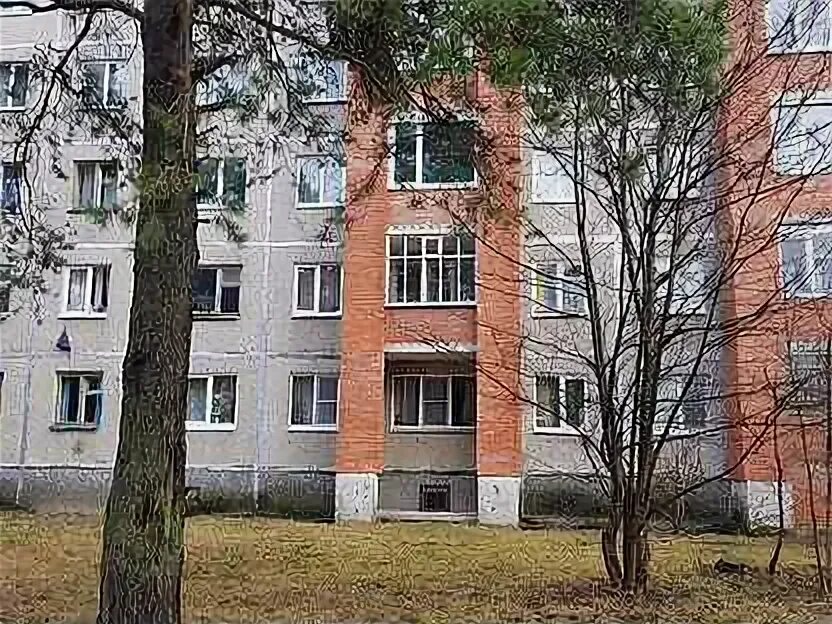 Сосновый бор копорское шоссе 70. Сосновый бор, липовский пр-д, д. Озон ленинградская боровичи. Молодежная улица 37 ленинградская область сосновый бор. Озон сосновый бор.