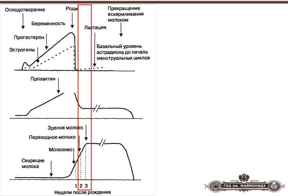 Гормональные изменения после. Уровень гормонов после родов. Уровень пролактина после родов. Пролактин схема образования. Гормоны в послеродовом периоде.