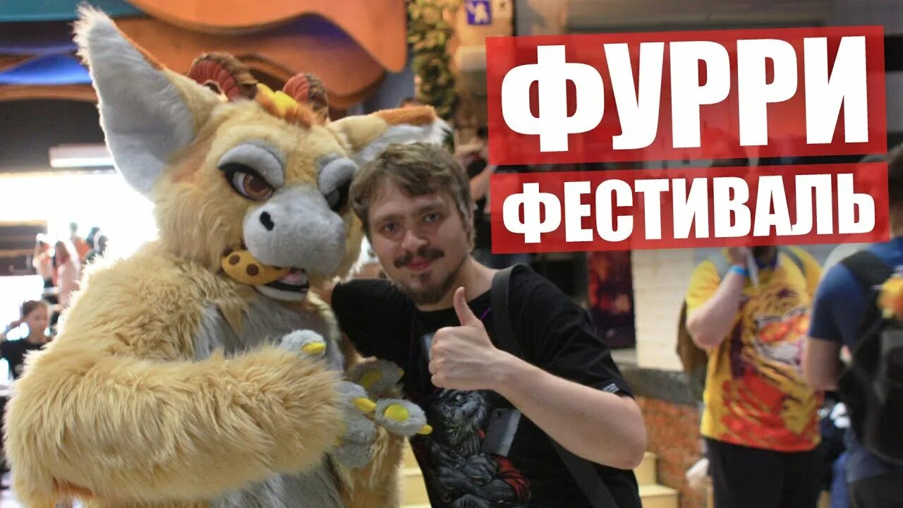 Anyfurry fest. Any furry fest. Any furry fest. Фурри фестиваль. Фурри фестиваль.