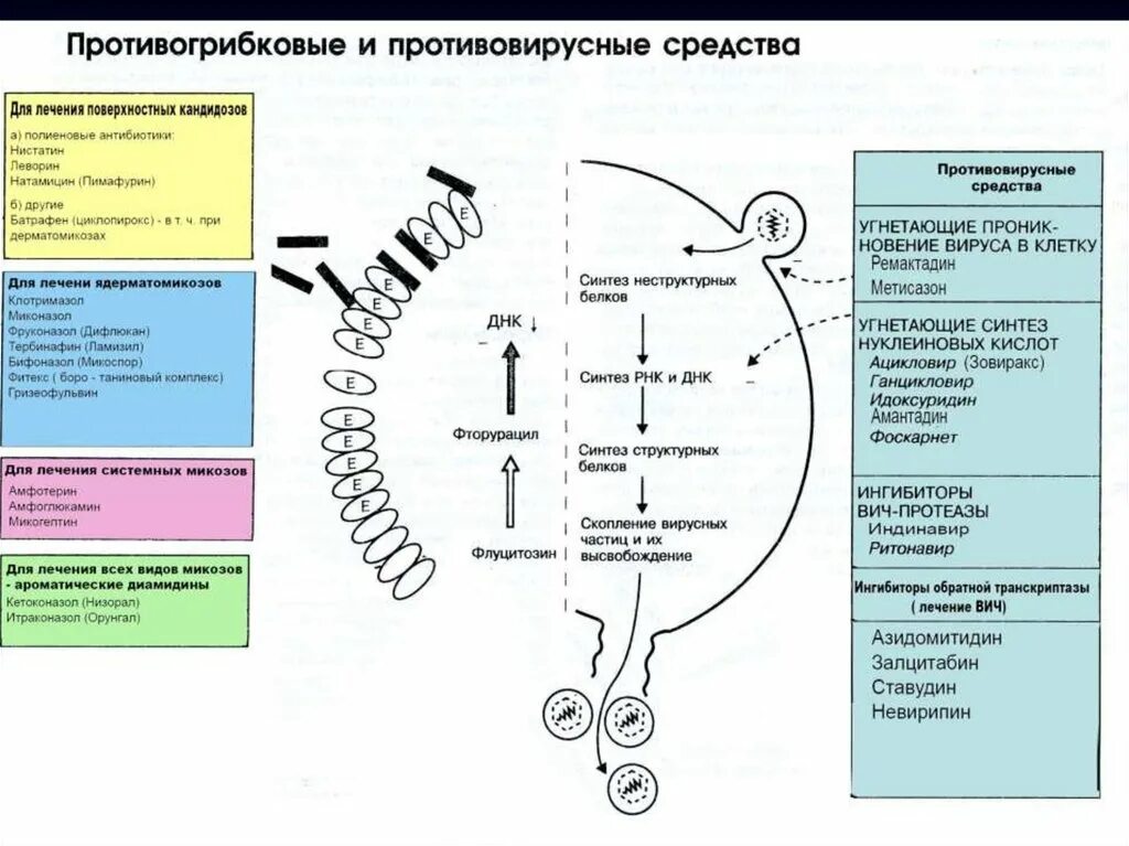 Антибиотики ингибирующие Синтез ДНК. Ингибиторы синтеза нуклеиновых кислот антибиотики. Препараты нарушающие Синтез вирусных нуклеиновых кислот. Антибиотике ингибирующие Синтез РНК. Ингибиторы белка