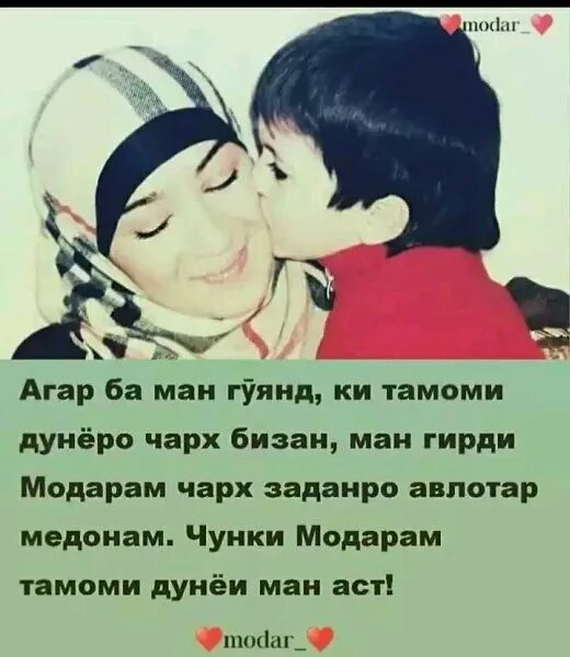 Модар точики. Модар. картинка модар. шери модар картинка. модарам чон модарам.