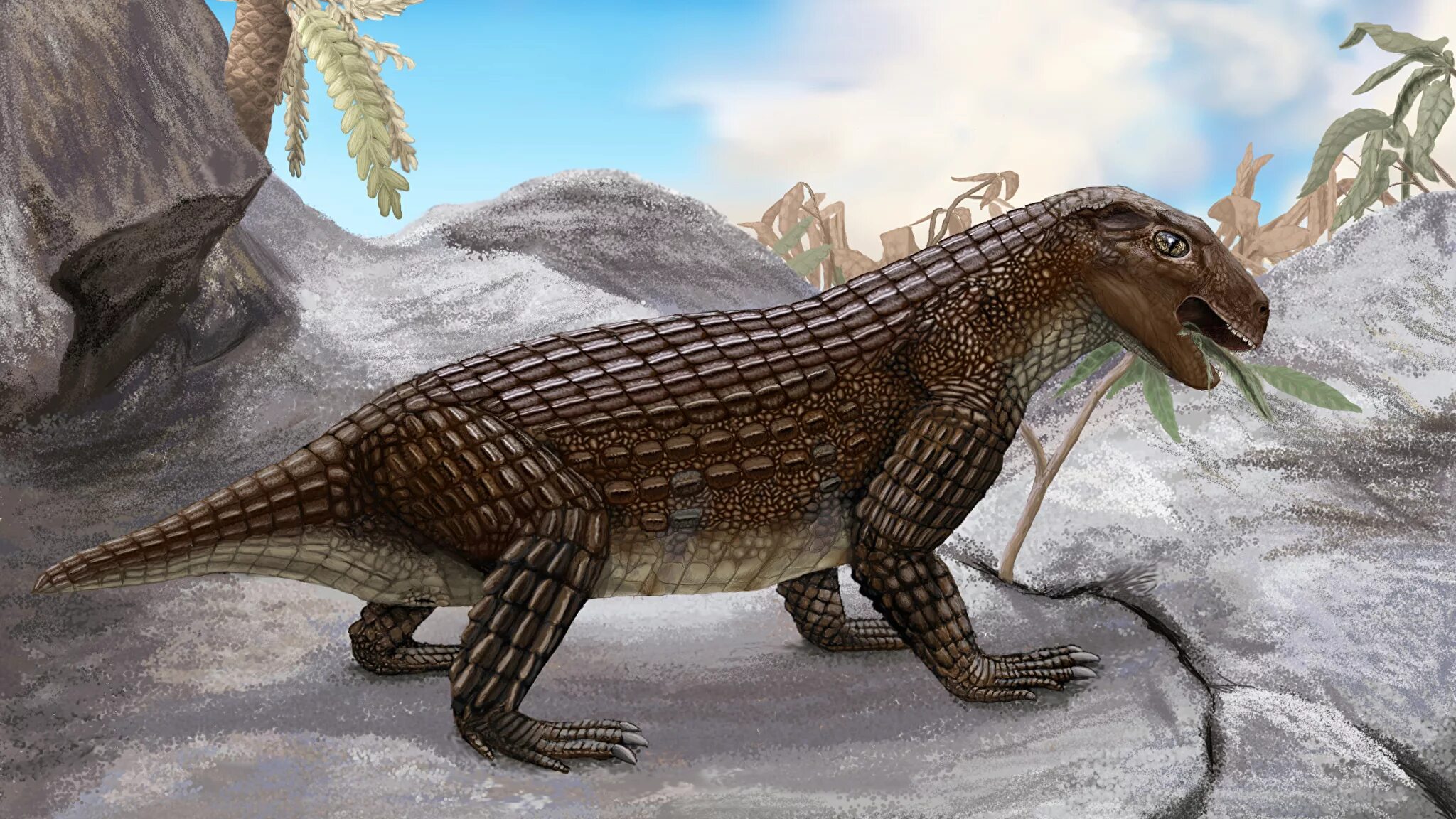 Мегалания варан. Прыткая ящерица самка. Людоящер [lizardfolk]. Крокодиломорфы триаса. Зденек буриан.