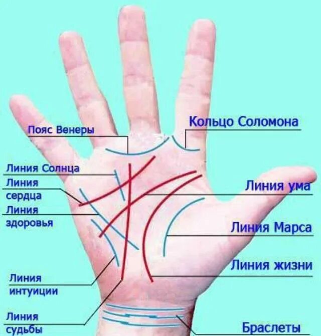 Линии на ладони. Хиромантия линия здоровья. Хиромантия линии на руке. Линия здоровья по руке.