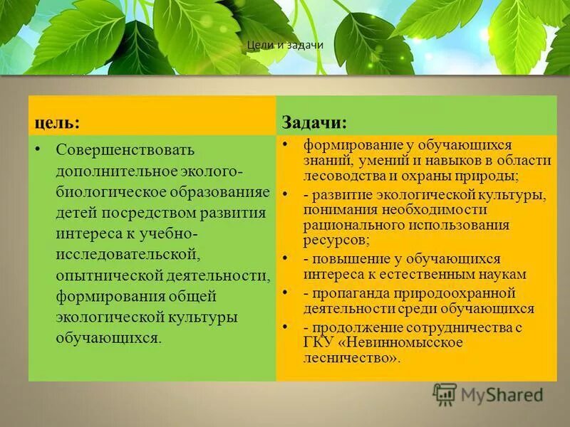 Формирования экологической культуры обучающихся