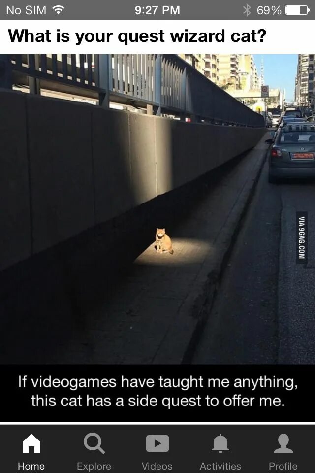 Cat doesn t. Cat doesn t
