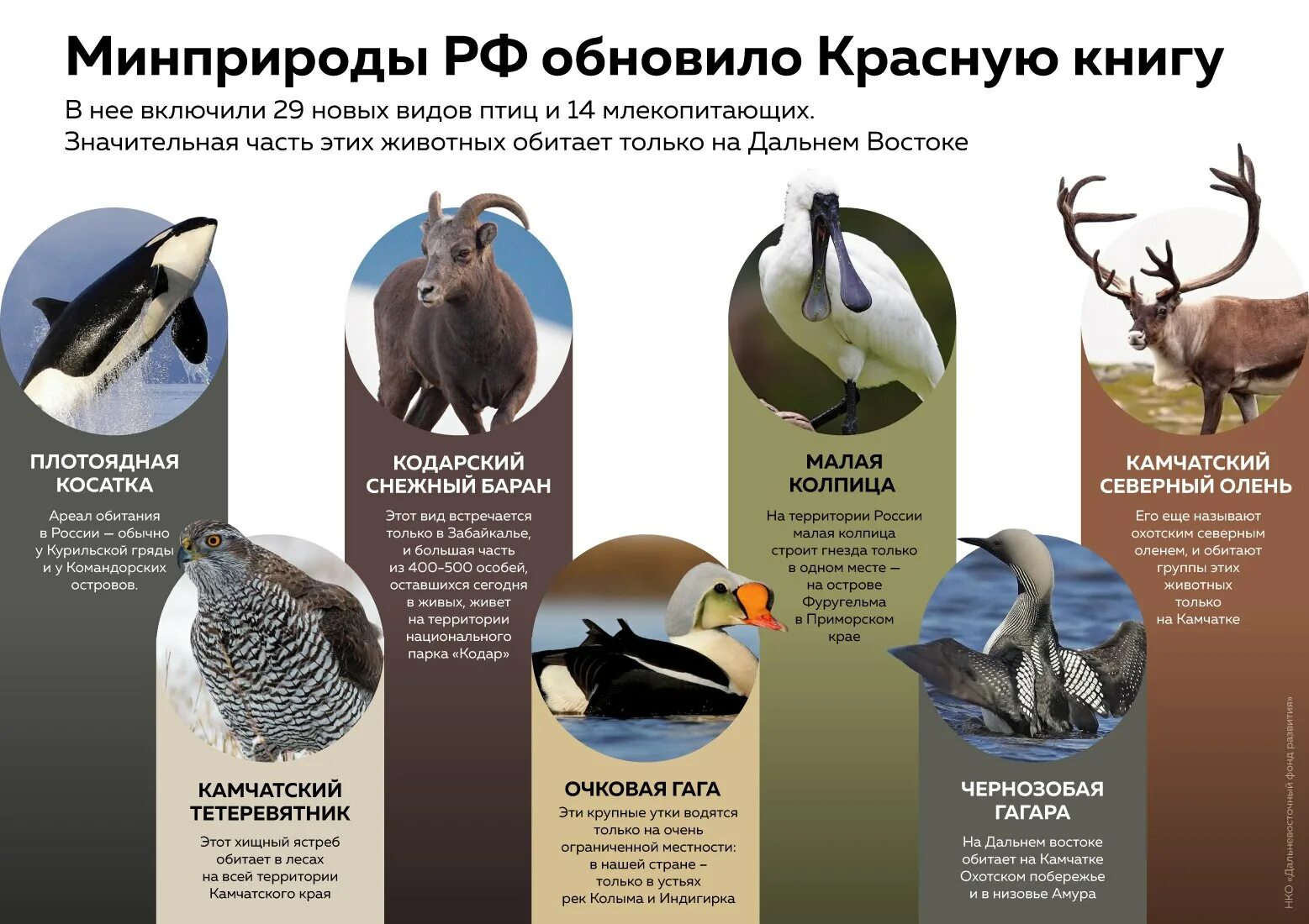 Какие есть умирающие виды