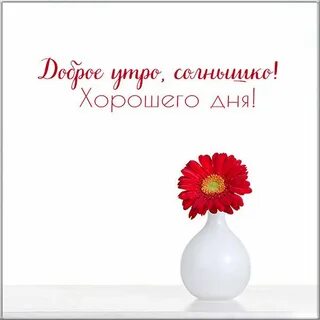 Просыпайся солнце мое