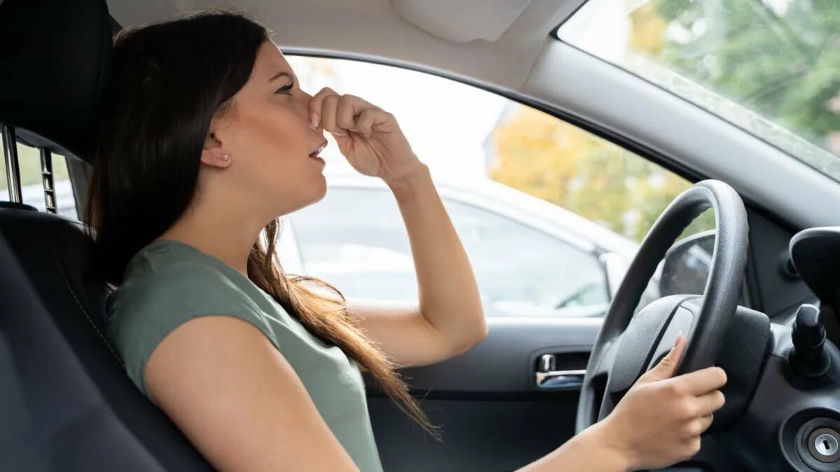 Воняет пластиком. Smell машина. Car smell. Does the car smell?.