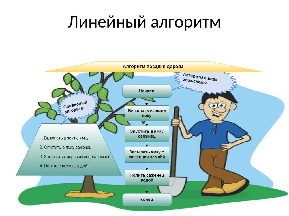 Примеры алгоритмов. Алгоритмы в жизни. Алгоритмы в повседневной жизни. Примеры алгоритмов из жизни.