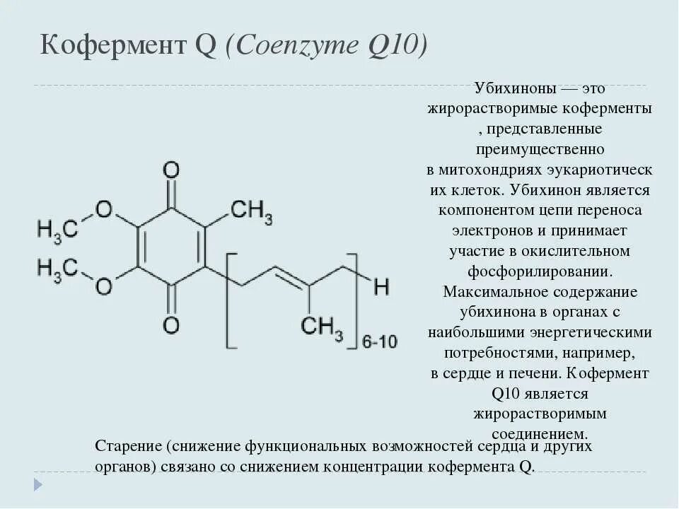 Коэнзим а функции. Коэнзим а функции