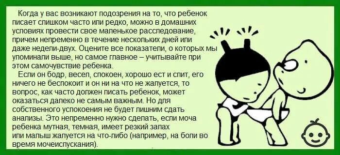 Желание пописать. Почему ребенок писает часто. Если ребенок часто писает что делать. Новорожденный часто писает. Как часто должен писать грудничок.