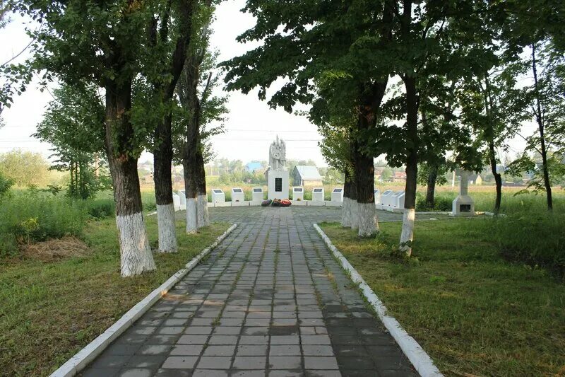 Курсаково истра фото. Курсаково новопетровск. Курсаково новопетровск. Курсаково новопетровск. Алексино-истра комплекс.
