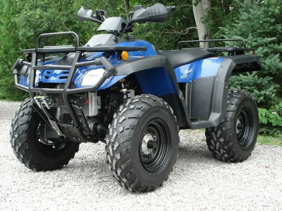 Квадроциклы промакс купить. Квадроцикл Raptor Max Pro 49сс. Квадроцикл Promax 300 4x4 all Road. Atv Raptor 150. Квадроцикл Raptor Max Pro 300.