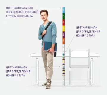 Мебель ростовая таблица