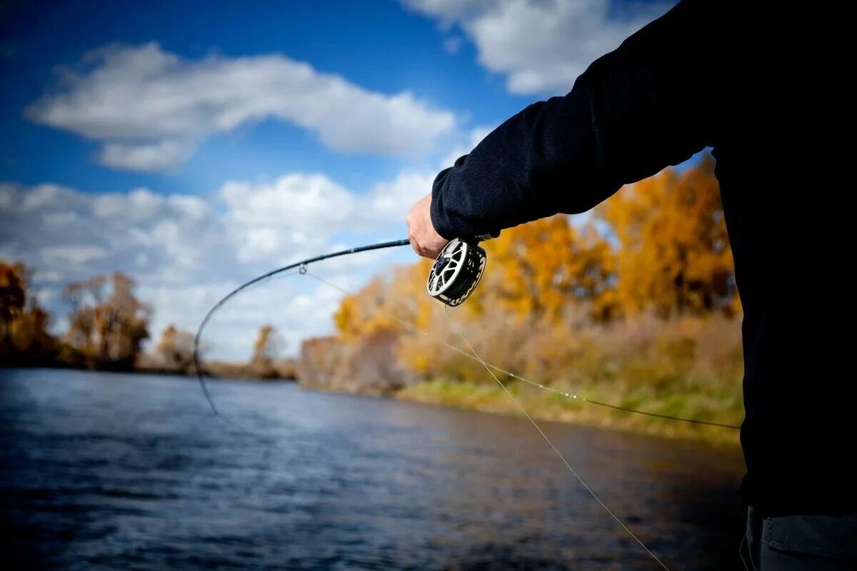 Красивая ловля. Осень рыбалка. Природа рыбалка. Рыбалка осенью. Летняя рыбалка.