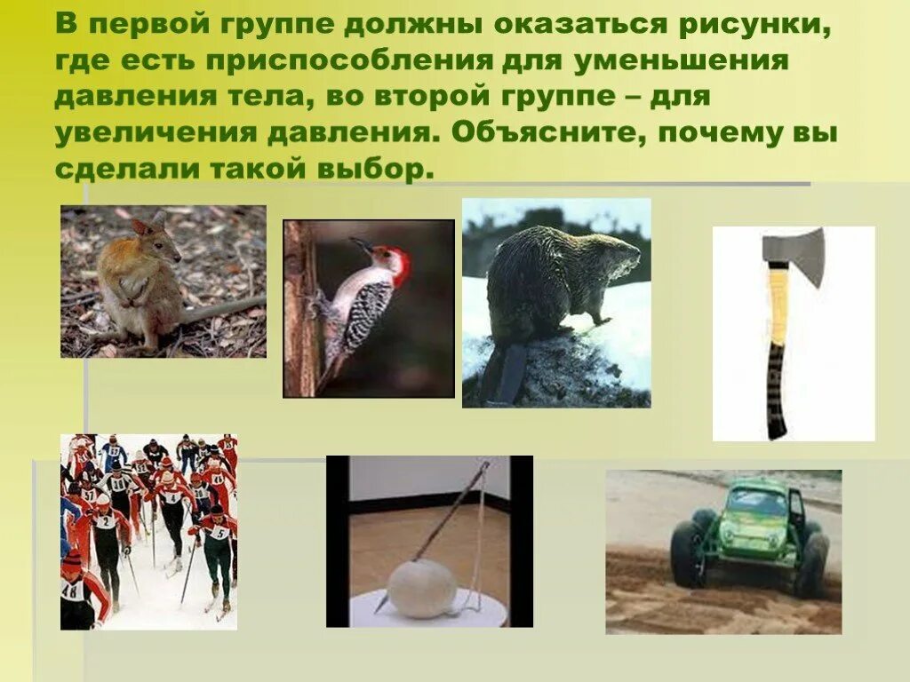 Уменьшение увеличение давления в технике. Способы уменьшения давления в природе. Способы увеличения и уменьшения давления рисунок. Примеры увеличения давления. Примеры увеличения давления в быту.