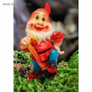Садовод гномики