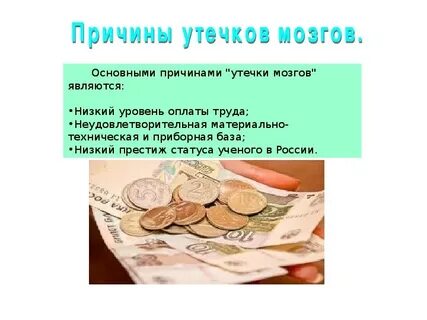 Миграция мозгов